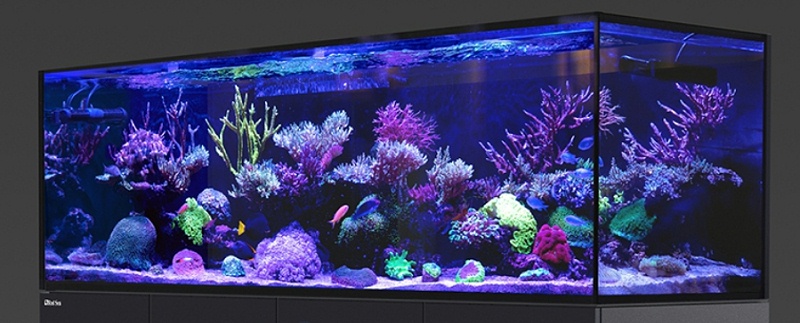 智能魚缸