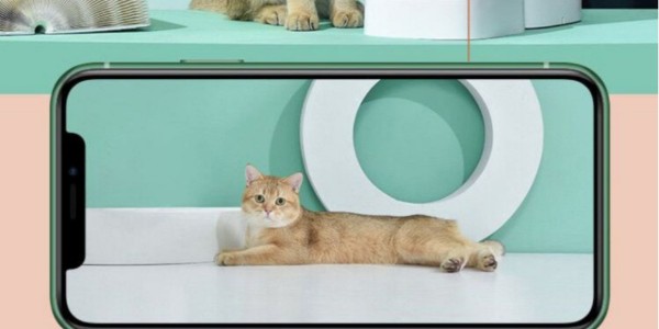 智能家居-寵物喂食器的特點