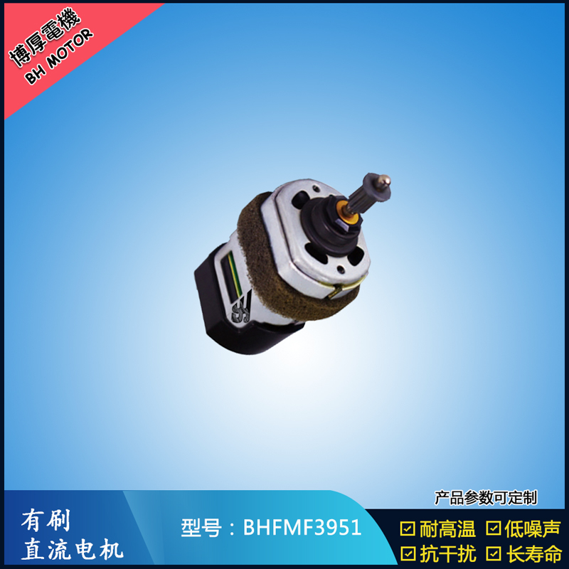 BHFMF3951交流有刷電機(jī)100V 電動滑板車電機(jī)